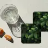 Sparrentakken - Knoppen - Naalden - Groen onderzetter kurk middel -sfeer4