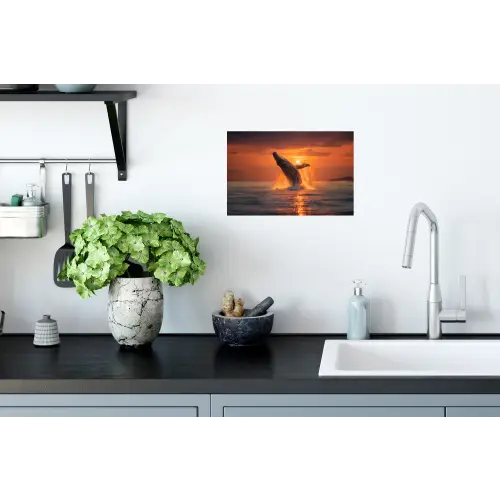 Walvis - Zon - Zee Muursticker klein -keuken