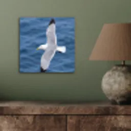 Zeemeeuw - Oceaan - Blauw aluminium wit klein -sfeer2