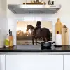 Harmonie - Ruiter - Zon Inductie beschemer met haakjes klein -sfeer2