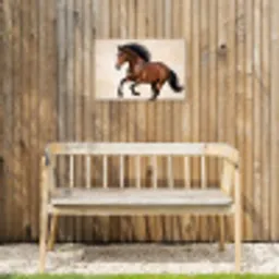Paard - Galop - Energie Tuinposter op houten frame 2 cm dik klein -sfeer4