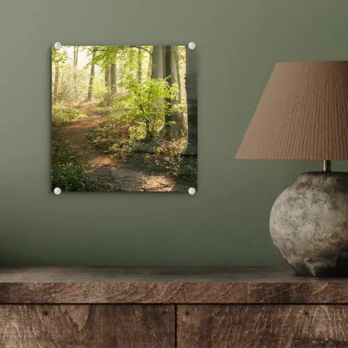 Bos - Bomen - Pad - Zon - Planten - Bladeren - Natuur plexiglas 5mm klein -sfeer3