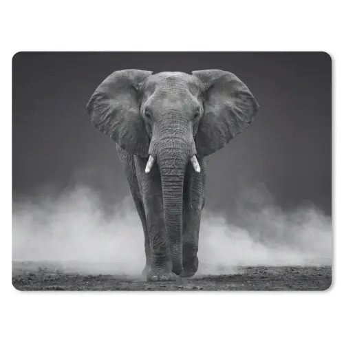 Olifant - Zwart - Wit - Rook muismat rubber klein -3d