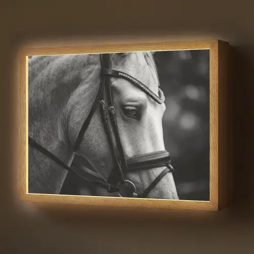 Paard - Schimmel - Portret Light Box met batterij (Wandlamp) middel -z3d_website