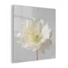 Bloem - Minimalistisch -Wit plexiglas 5mm klein -z3d