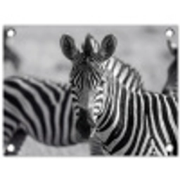 Zebra's - Zwart - Wit tuinposter los doek klein -3d