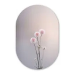 Bloemen - Bollen - Roze Wandcirkel Ovaal Aluminium middel -3d