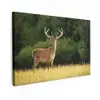 Hert - Gewei - Gras - Natuur - Dieren - Groen canvas 2cm klein -z3d