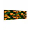 Mandarijn - Oranje - Druppels - Groen canvas 2cm klein 828 -z3d
