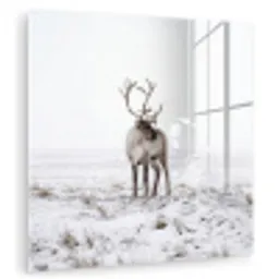 Rendier - Gewei - Sneeuw - Winter plexiglas 5mm klein -zzzproduct_nieuw