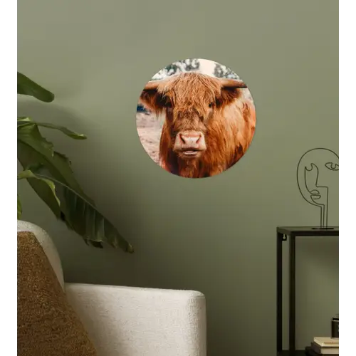 Koe- Schotse hooglander - Hoorns - Bruin - Landschap Wandcirkel behangsticker klein -sfeer2