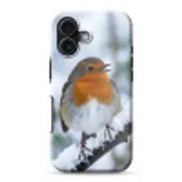 Roodborstje - Tak - Sneeuw - Winter - Levendig Toughcase MagSafe Apple iPhone 17 klein -3d