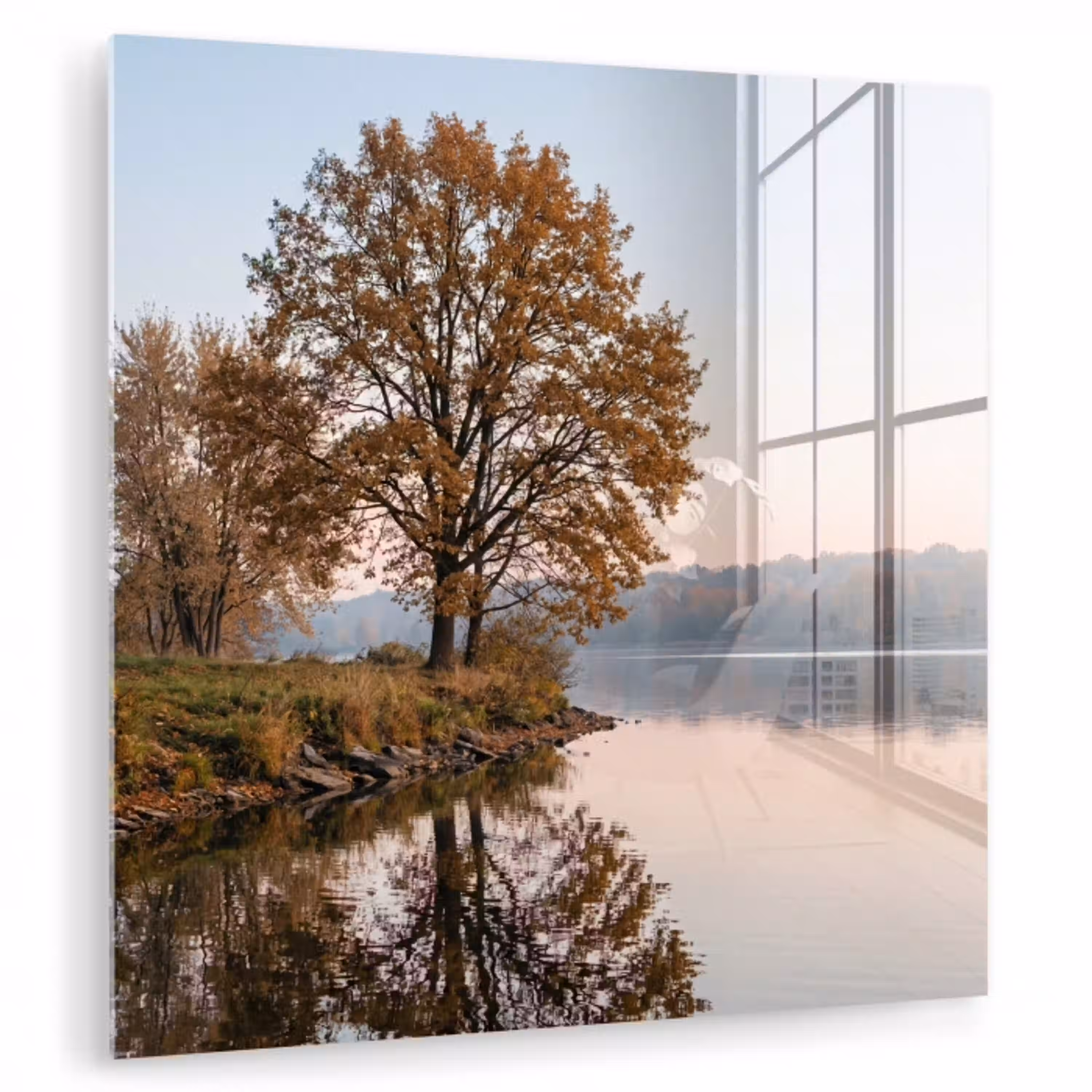 Bomen - Reflectie - Water - Zonsopgang - Serene plexiglas 5mm klein -zzzproduct_nieuw