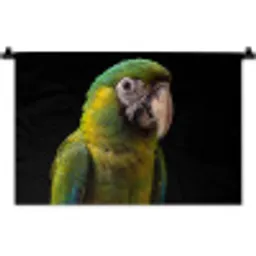 Ara - Portret - Groen Wandkleed katoen klein -zz3d