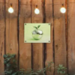 Groen - Disco - Decoratie - Appel tuinposter los doek klein -sfeer1