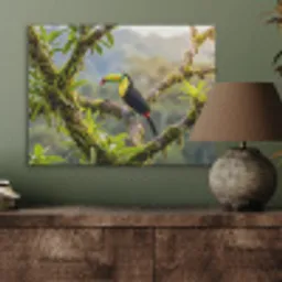 Toekan - Jungle - Natuur - Kleurrijk PET vilt klein -sfeer2