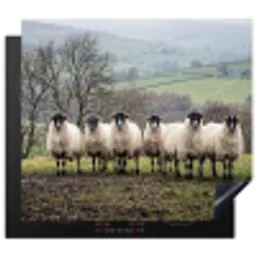 Schapen - Rij - Weide - Dieren - Platteland Inductie beschermer vinyl 3mm middel -3d