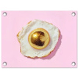 Ei - Disco - Ontbijt - Glitter tuinposter los doek klein -3d