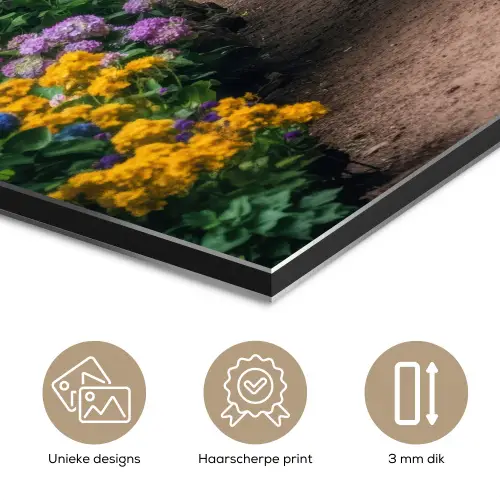 Doorkijk - Bloemen - Hortensia - Pad aluminium wit klein -closeup_NL