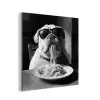 Hond - Bulldog - Pasta - Bril - Stoer - Dieren aluminium wit klein -3d