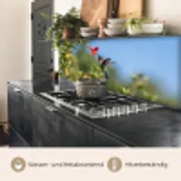 Kolibrie - Bloem - Natuur - Groen keuken achterwand 2 middel -usp_DE