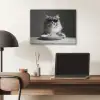 Langharige kat - Zonnebril - Spaghetti - Humor - Zwart - wit PET vilt klein -sfeer5