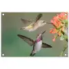 Kolibries bij Bloemen tuinposter los doek klein -3d