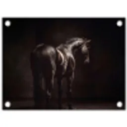 Krachtig - Paard - Donker tuinposter los doek klein -3d