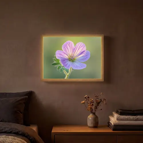 Bloem - Close up - Paars Light Box met batterij (Wandlamp) middel -sfeer4