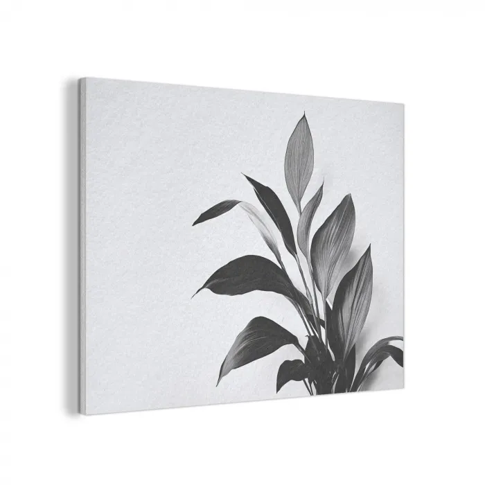 Plant - Bladeren - Minimalistisch - Zwart PET vilt klein -3d