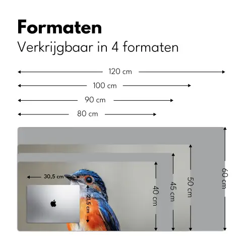 Kleurrijk - Vogeltje - Veren - Blauw Muismat XXL klein -sfeer5