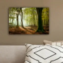 Bos - Zon - Seizoenen - Landschap canvas 2cm klein -sfeer3