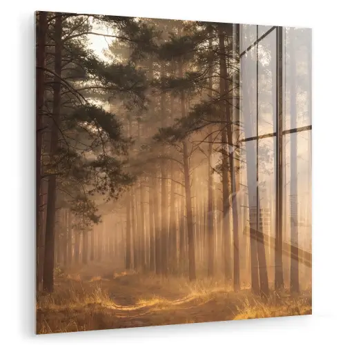 Bos - Mist - Zonlicht plexiglas 5mm klein -zzzproduct_nieuw