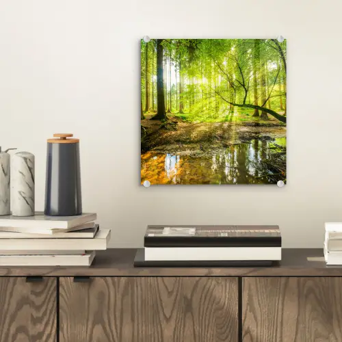Bos - Landschap - Water - Bomen - Zon - Groen - Natuur plexiglas 5mm klein -sfeer1