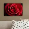 Rood - Roos - Romantisch canvas 2cm klein -sfeer3