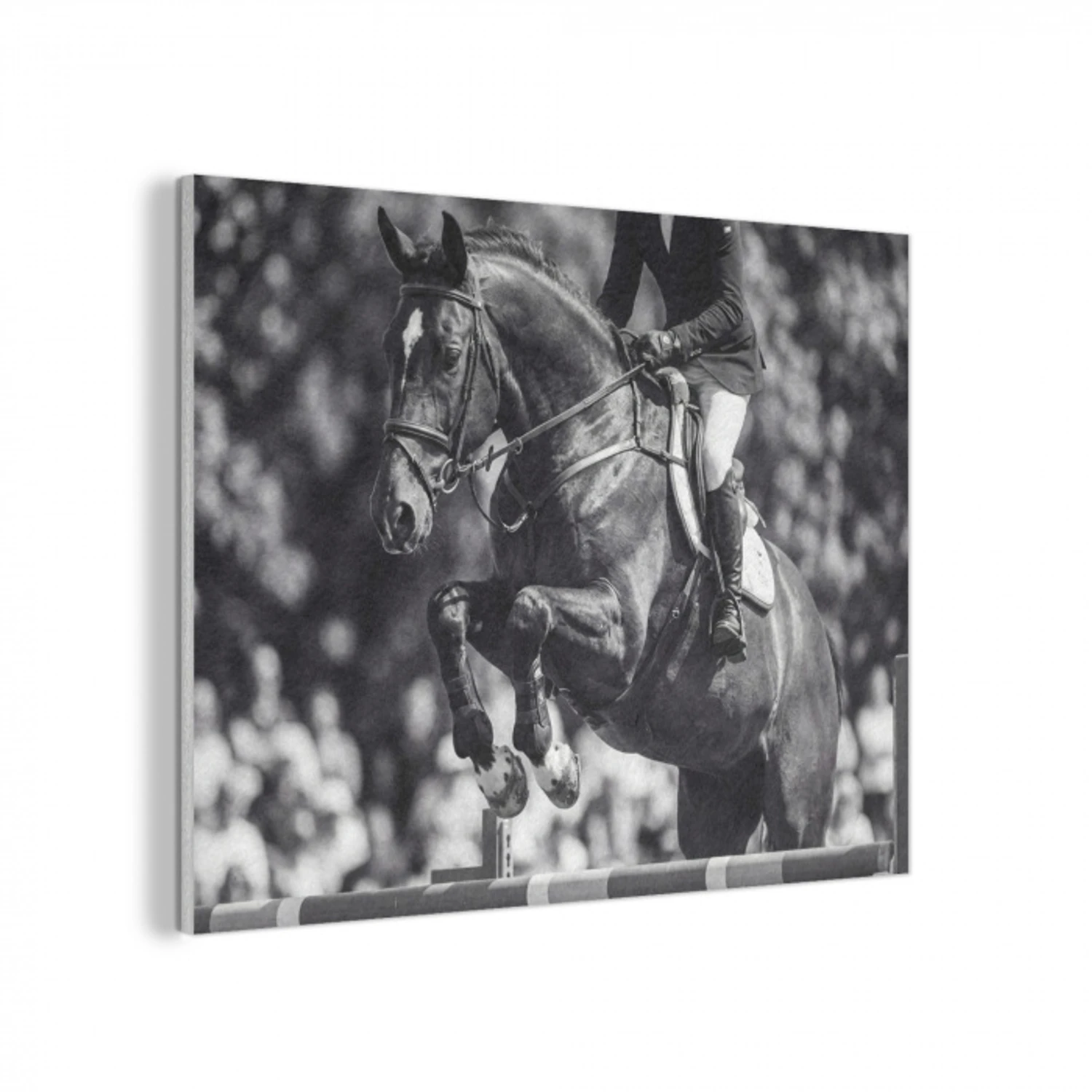 Springen - Paard - Zwart - Wit PET vilt klein -3d