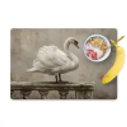 Zwaan - Elegant - Dieren - Wit Placemat vinyl groot -zzzproduct_Kitchenyeah-website