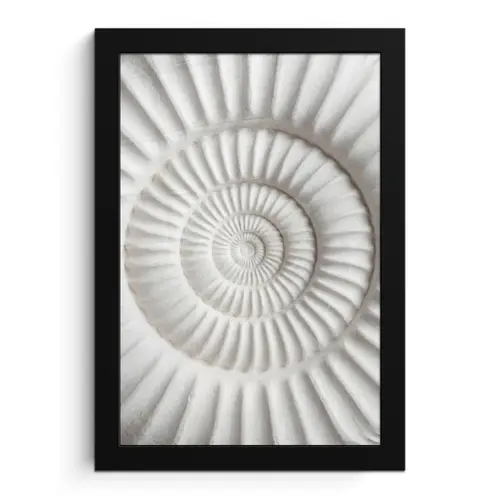 Schelp - Spiraal - Wit fotolijst zwart zonder passe partout klein -3d