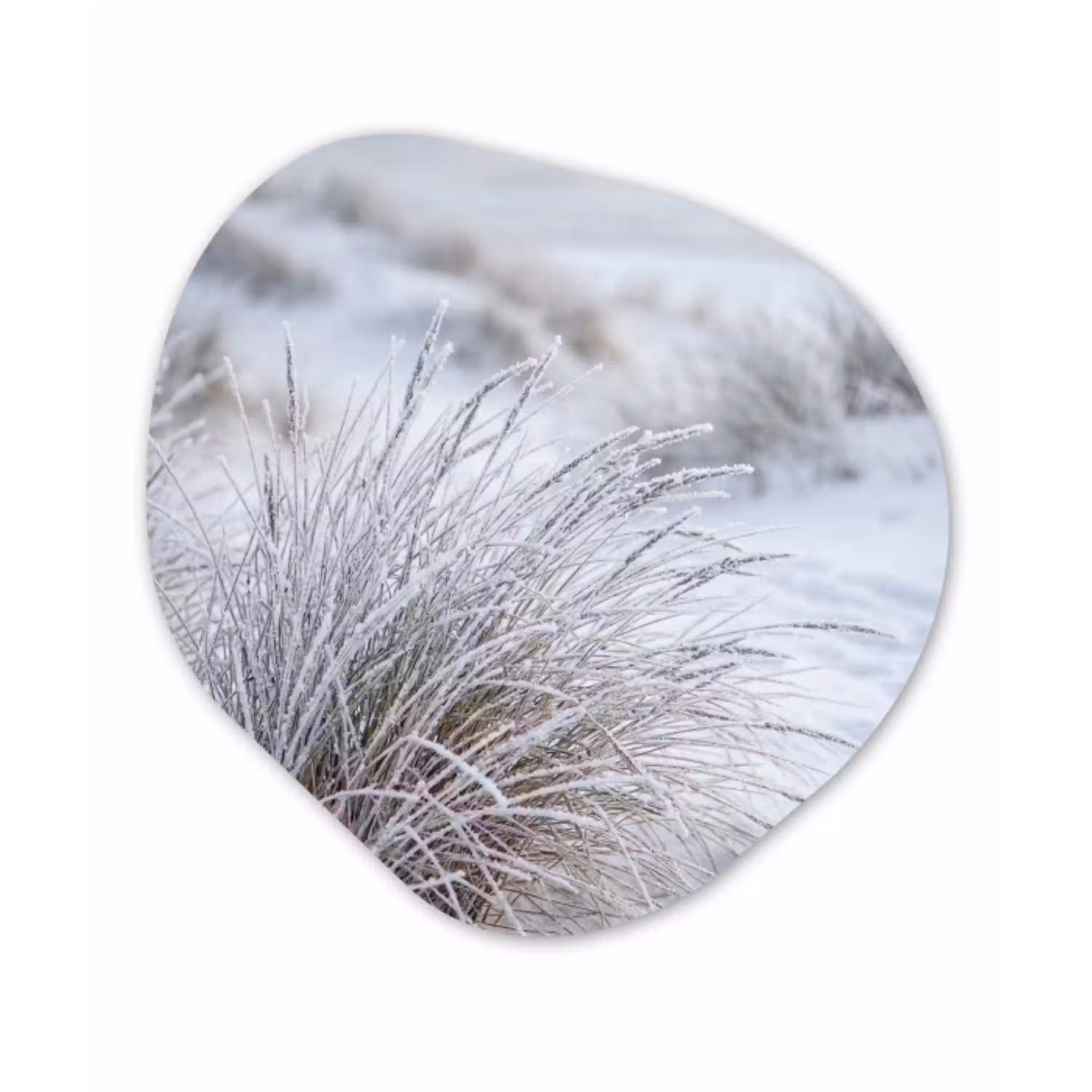 Duinen - Sneeuw - Strand - Winter - Serene Wandcirkel Organisch Aluminium middel -3d