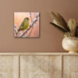 Groenling - Katjes - Lente - Natuur - Zacht aluminium wit klein -sfeer4