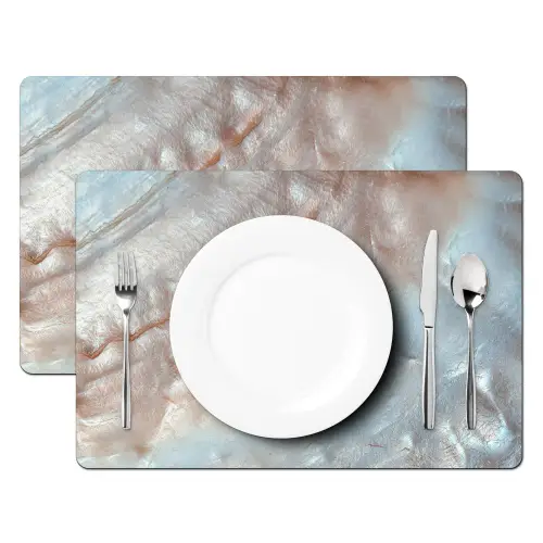 Schelpen - Abstract - Natuur Placemat vinyl groot -zzsfeer2_Kitchenyeah-website