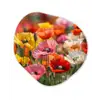 Bloemenveld - Klaprozen - Kleurrijk Wandcirkel Organisch Plexiglas middel -3d