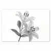 Lelies - Elegant - Zwart - Wit Placemat vinyl groot -zzsfeer1_Kitchenyeah-website