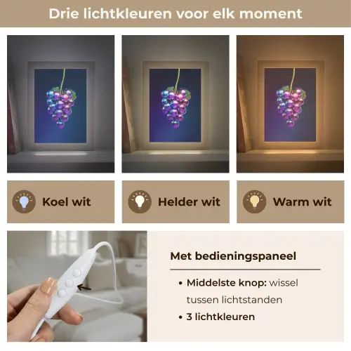 Paars - Disco - Feest - Druif Light Box met kabel (Tafellamp) klein -USP_lichtkleurNL