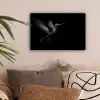 Kolibrie - Zwart - Dieren canvas 2cm klein -sfeer1