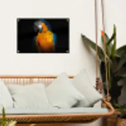 Dieren - Papegaai - Vogel tuinposter los doek klein -sfeer7