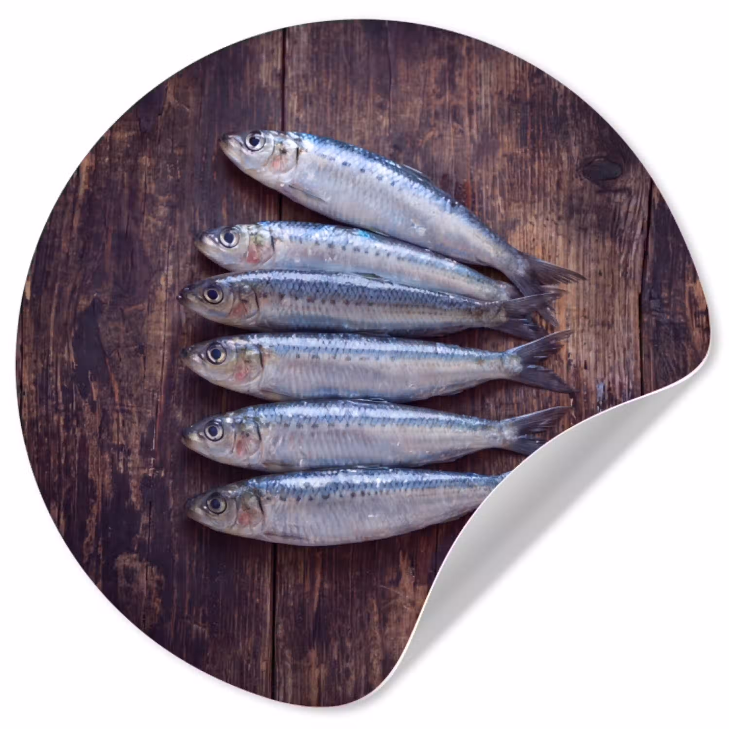 Vis - Hout - Eten Wandcirkel behangsticker klein -3d