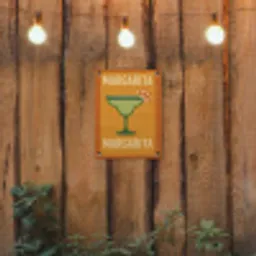 Illustratie - Margarita - Sinaasappelschijf - Oranje tuinposter los doek klein -sfeer1