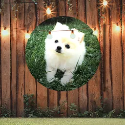 ronde tuinposter klein hondje