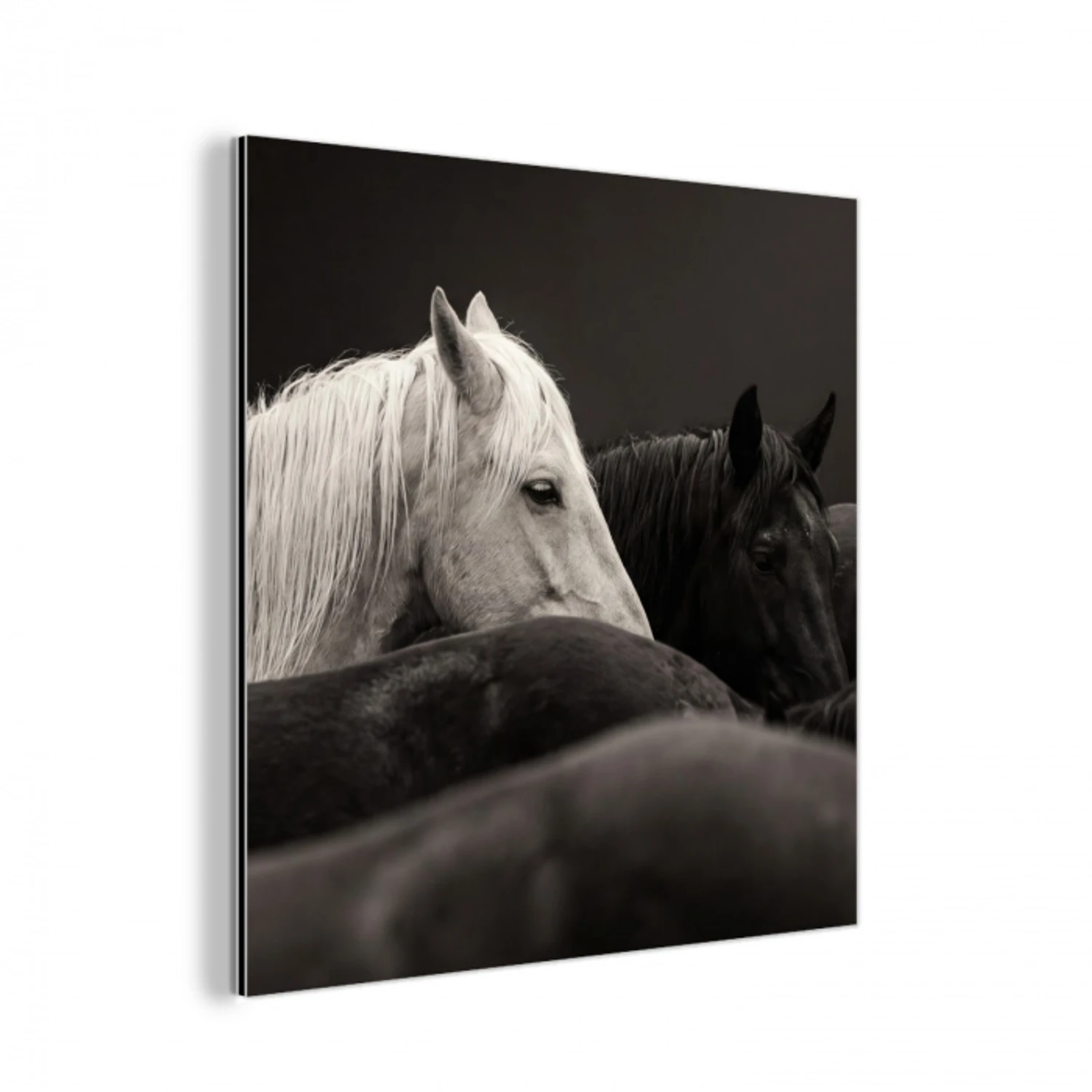 Paarden - Zwart - Wit - Kudde aluminium wit klein -3d